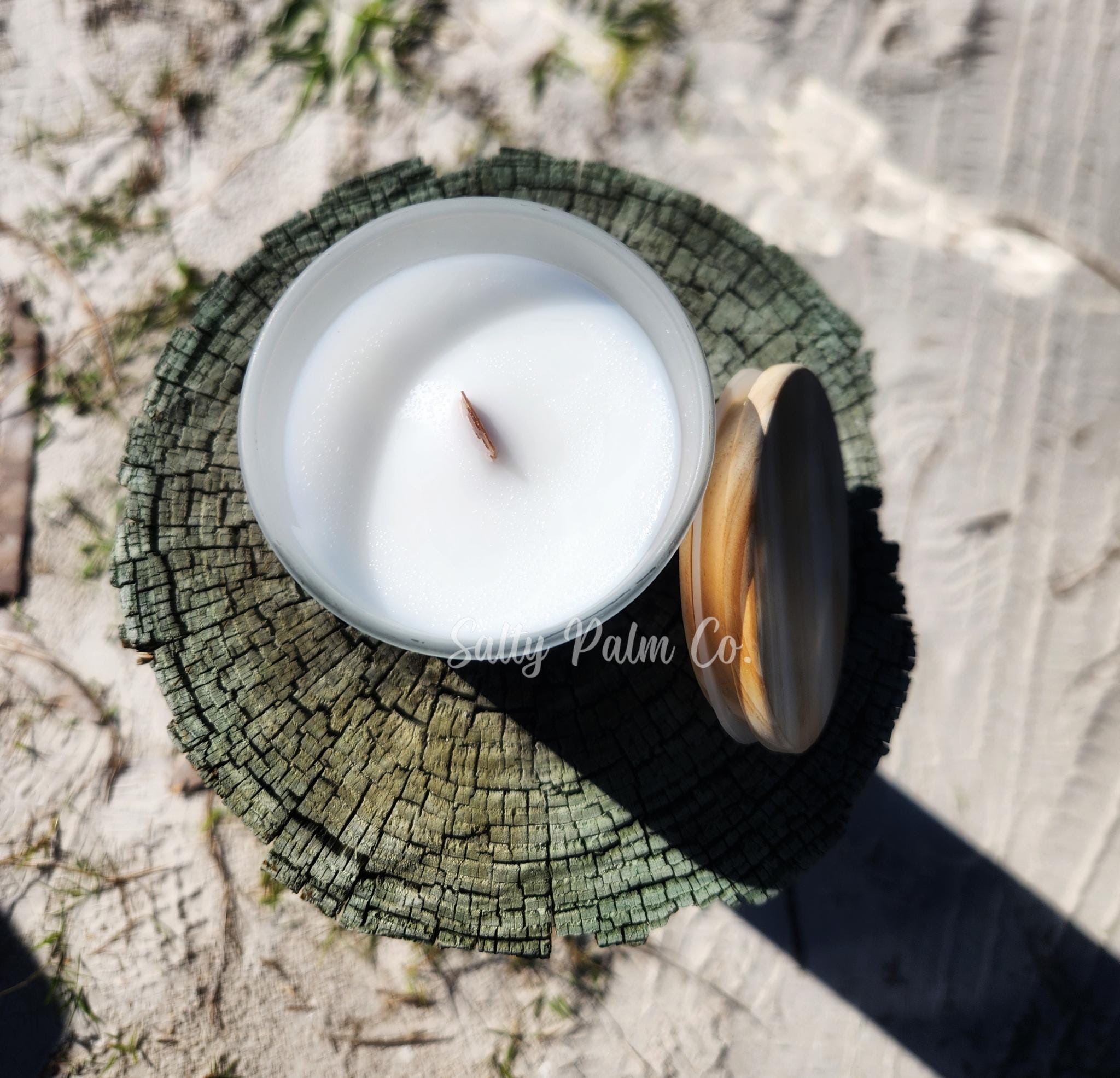cinnamon plant buy Cinnamomum verum (Cinnamon Tree)