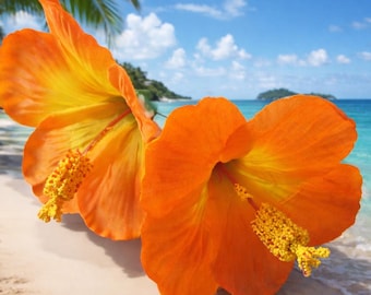Tropical Hawaiian ORANGE Hibiscus set of 2 hair pin flowers ,weddings, tiki, luau, beach, maga PR
