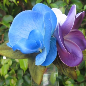 Hawaiian Tropical Hair Flower Clip Turquoise Orchid and  display picture 1