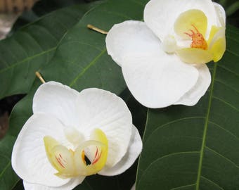 Hawaiian  WHITE Orchids SET OF 2 bobby pins flowers hair clips, Weddings, beach party, tiki, tropical, luau...