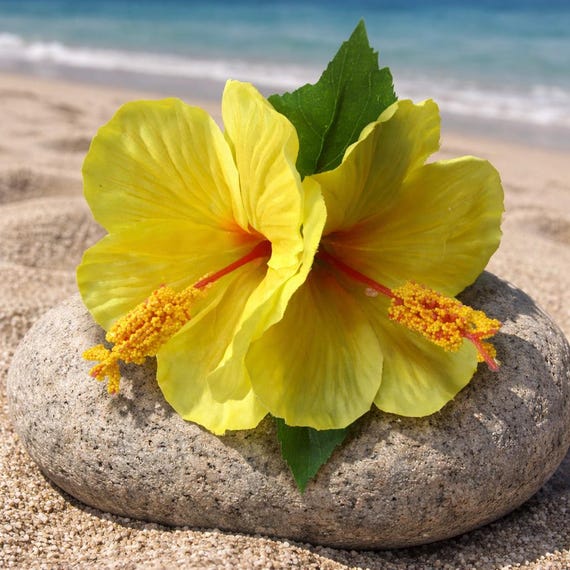 YELLOW Double HIBISCUS Hair Flower Clip - Weddings- PR  display picture 3