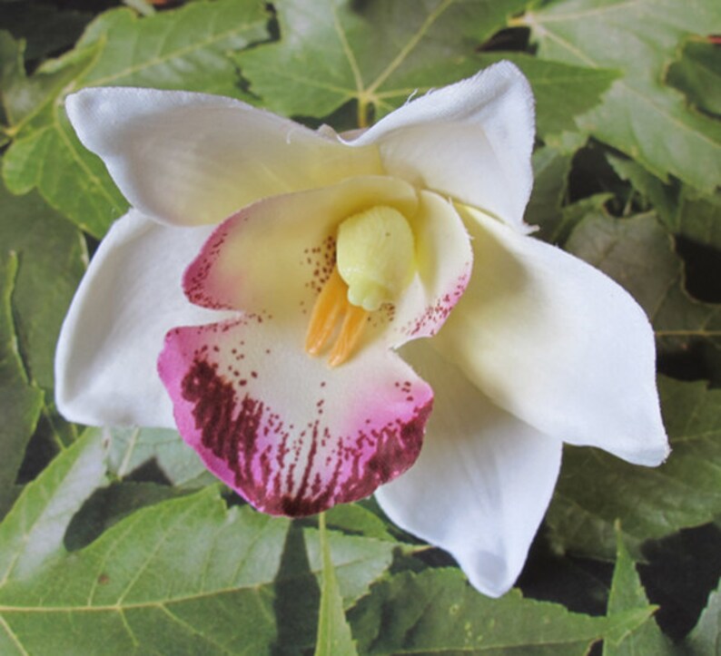Wedding- Hawaiian White-Ivory-Purple Orchid hair flower clip