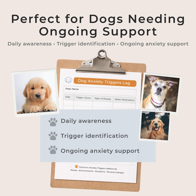 Beautiful view of Avoiding Triggers Anxious Dogs Dog