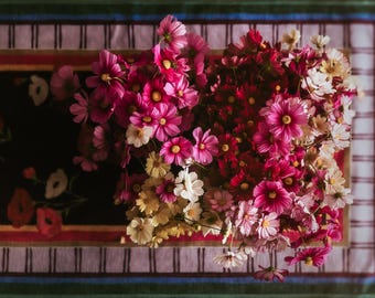 Original Floral Fine Art Photography - Instant Digital Download  Carpet of Cosmos