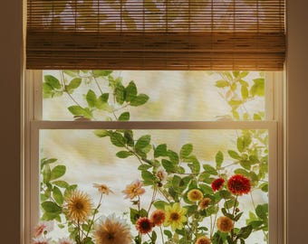 Original Floral Fine Art Photography - Instant Digital Download - Dahlias in Bottles