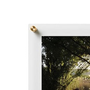 Könnte beinhalten: Eine Person geht einen bewaldeten Weg entlang, während Sonnenlicht durch die Bäume scheint. Die Person trägt einen Hut und ein helles Hemd.