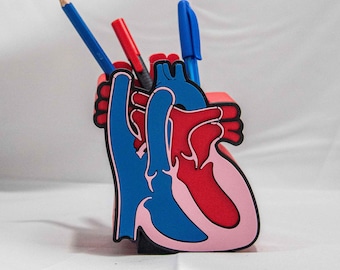 Umsetzung des Great Arteries Schreibtisch Organizer | Anatomisches Herz-Stifthalter | Kardiologen Geschenk