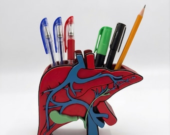 Leber Anatomie Schreibtisch Organizer, Doktor Geschenk, Medizin Studenten Stifthalter, Arzt Büro Dekor, Krankenschwester Geschenk, Hepatologie, Gastroenterologie
