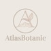AtlasBotanic store logo