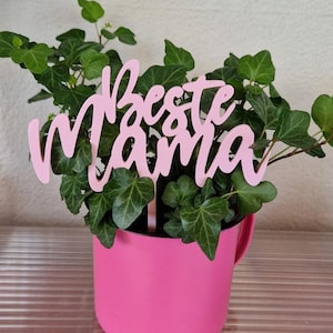 May include: A pink plant stake with the words "Beste Mama" in pink lettering. The stake is in a pink pot with a green plant.