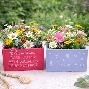 Könnte beinhalten: Zwei rechteckige Holzpflanzkästen gefüllt mit bunten Blumen. Ein Pflanzkasten ist rot mit weißem Text, der andere hellblau mit weißen dekorativen Designs. Die Blumen umfassen Gänseblümchen, Kosmeen und andere Wildblumen.