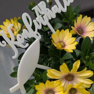 Könnte beinhalten: Weißes Acrylschild mit dem Text "Happy Birthday" in einer kursivschriftlichen Schriftart, platziert in einem Topf mit gelben Blumen und grünen Blättern.