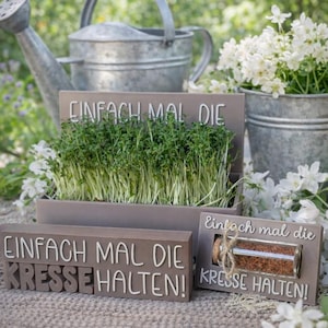 Puede incluir: Una escena de jardín con una jardinera rectangular llena de brotes verdes y dos letreros de madera con el texto "EINFACH MAL DIE KRESSE HALTEN!". Una regadera y un cubo de flores blancas están en el fondo.