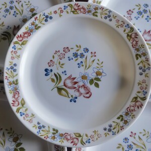Arcopal Delhi 6 antique Arcopal dinner plates, flower pattern, circa 1970
