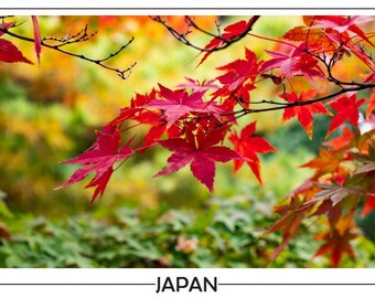 Nature poster and postcards from Japan