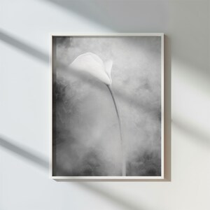 Black and White Calla Lily Print – Moody Floral Photography – Dark Art Wall Art – Monochromatic Deep Floral Photo – Mailed Art Prints