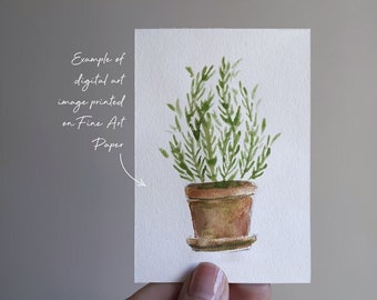 Digital Download - ACEO - Watercolor Art Print - "Rosemary in Terracotta"