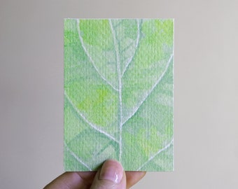 Open Edition Print - Small Watercolor Painting - "Details in Nature"