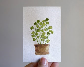 Original ACEO Watercolor Painting - "Cilantro in Terracotta"