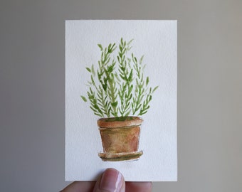 Original ACEO Watercolor Painting - "Rosemary in Terracotta"