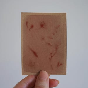 Original ACEO Anthotype- "Deconstructed Bouquet"