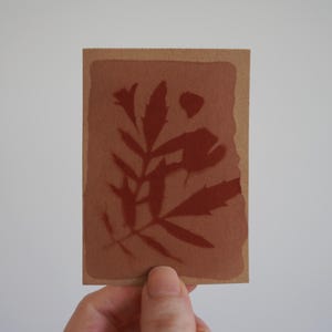 Puede incluir: Una tarjeta rectangular de papel marrón claro con un estampado botánico de color marrón rojizo oscuro. El diseño muestra la silueta de un tallo de planta con hojas de bordes dentados y un pequeño capullo floral, centrado sobre un fondo sólido.