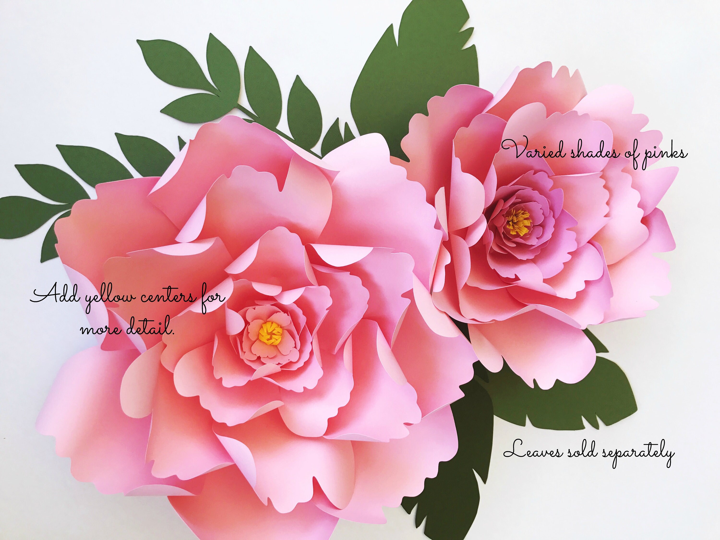 Large peony paper flower template DIY instant download Etsy