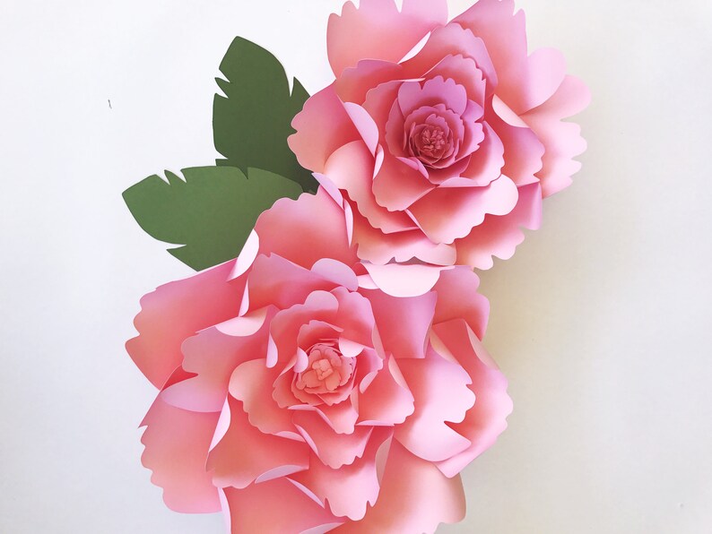 Large Peony Paper Flower Template DIY Instant Download Etsy