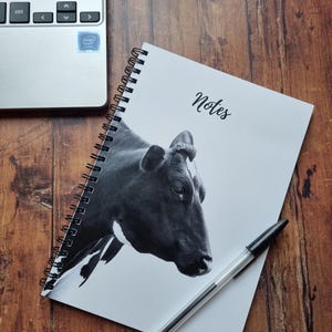 A5 Cow notebook, choose from lined or plain pages.