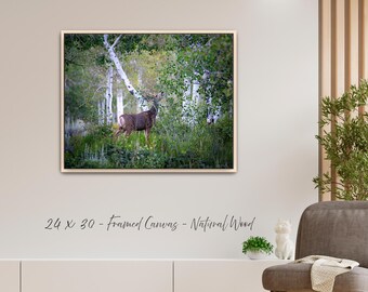 Mule Deer • Canvas | Metal | Framed | Fine Art Print •  Photography, Wall Art, Home Decor