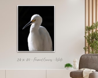 Snowy Egret Fine Art Print: Elegant Bird Photography, Home Decor