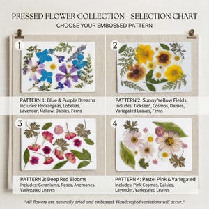 K&ouml;nnte beinhalten: Auswahltabelle mit gepressten Blumenmustern. Vier rechteckige Designs zeigen getrocknete und gepr&auml;gte Blumen in verschiedenen Farbschemata. Enth&auml;lt blau-violette, gelbe, tiefrote und pastellrosa Arrangements. Textdetails zu den Blumensorten.