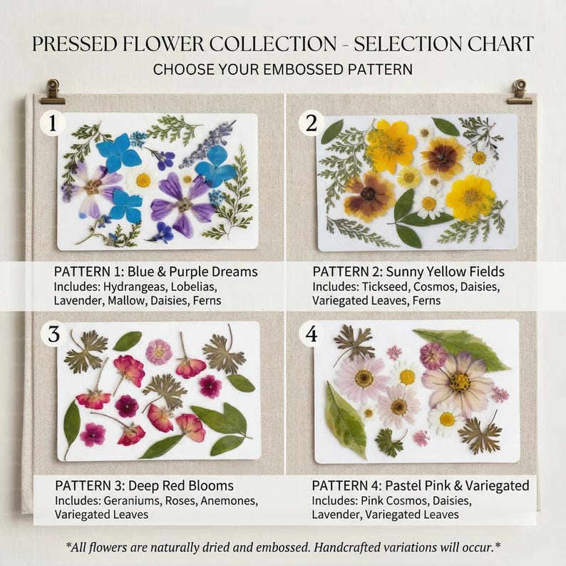 K&ouml;nnte beinhalten: Auswahltabelle mit gepressten Blumenmustern. Vier rechteckige Designs zeigen getrocknete und gepr&auml;gte Blumen in verschiedenen Farbschemata. Enth&auml;lt blau-violette, gelbe, tiefrote und pastellrosa Arrangements. Textdetails zu den Blumensorten.