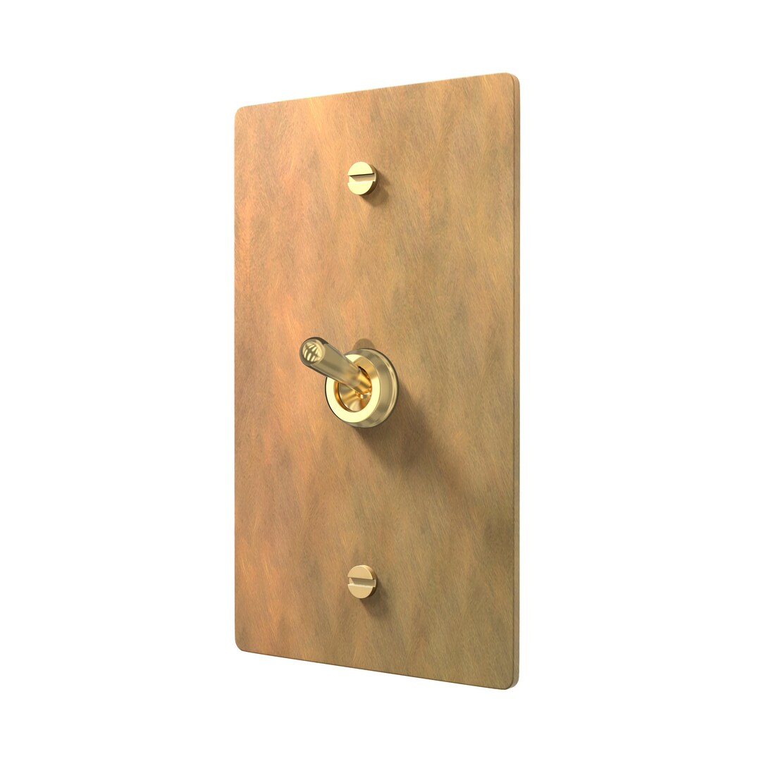 Brass Retro Toggle Switch With Matching Aged Brass Cover - Etsy