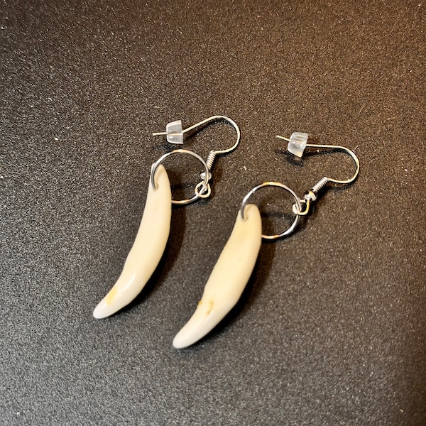 coyote tooth earrings native american made