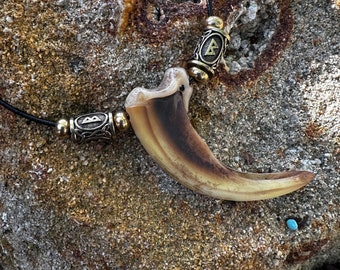 Norse replica Grizzly Bear claw Necklace