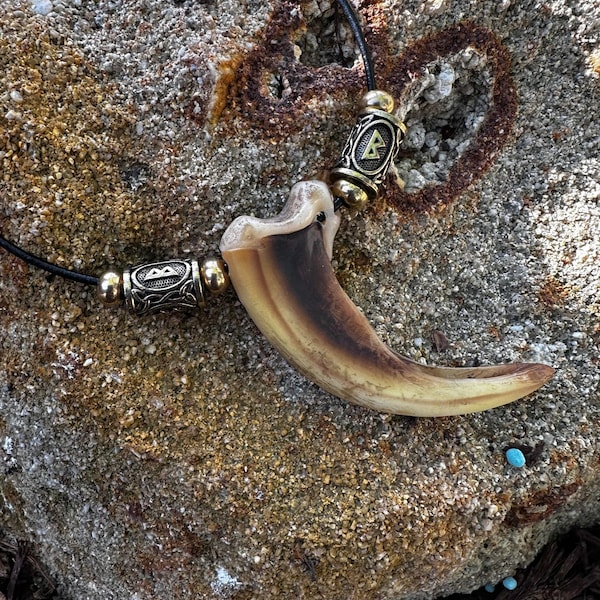 Norse replica Grizzly Bear claw Necklace