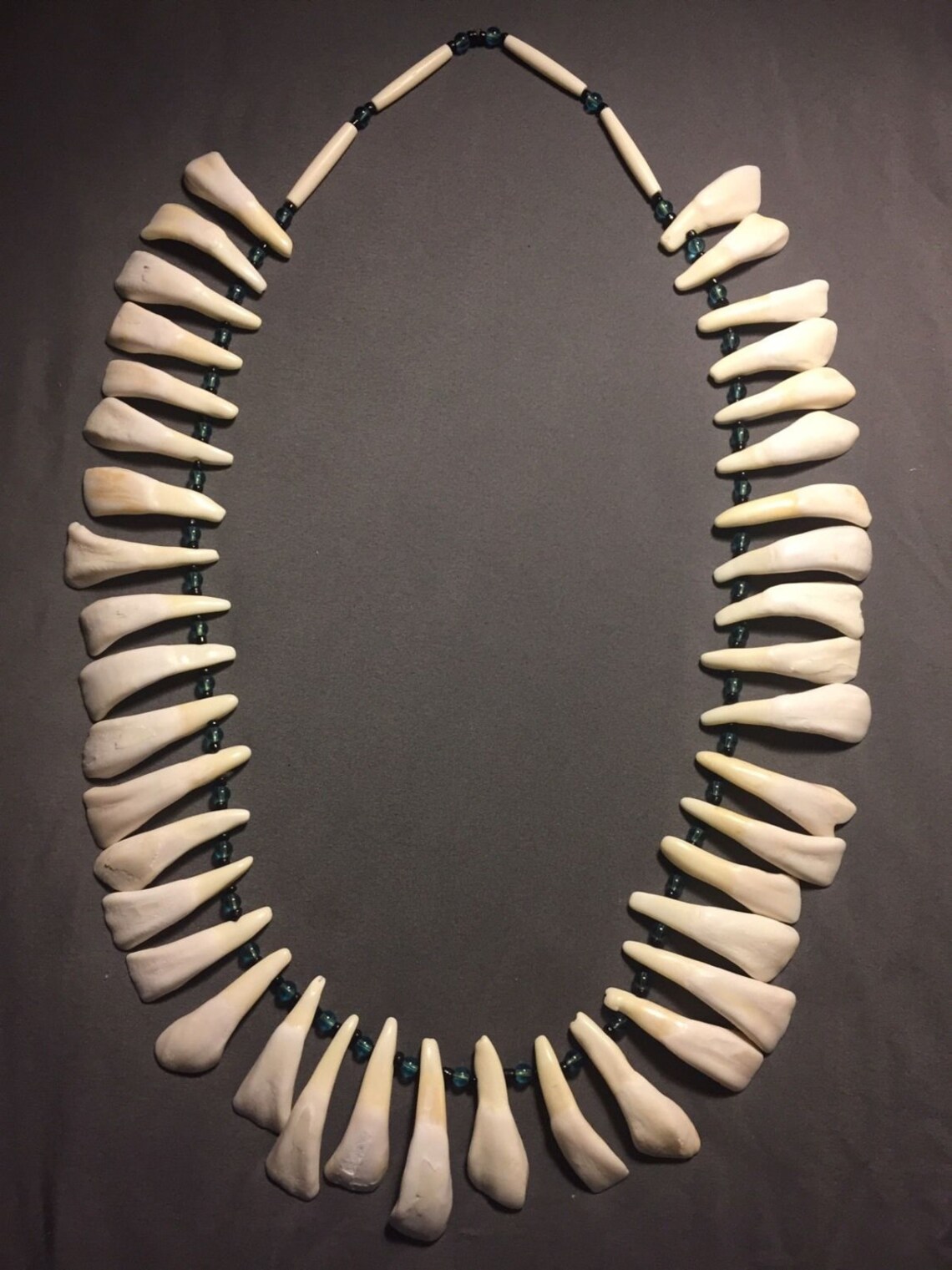 Buffalo Tooth Necklace Native American Made Etsy
