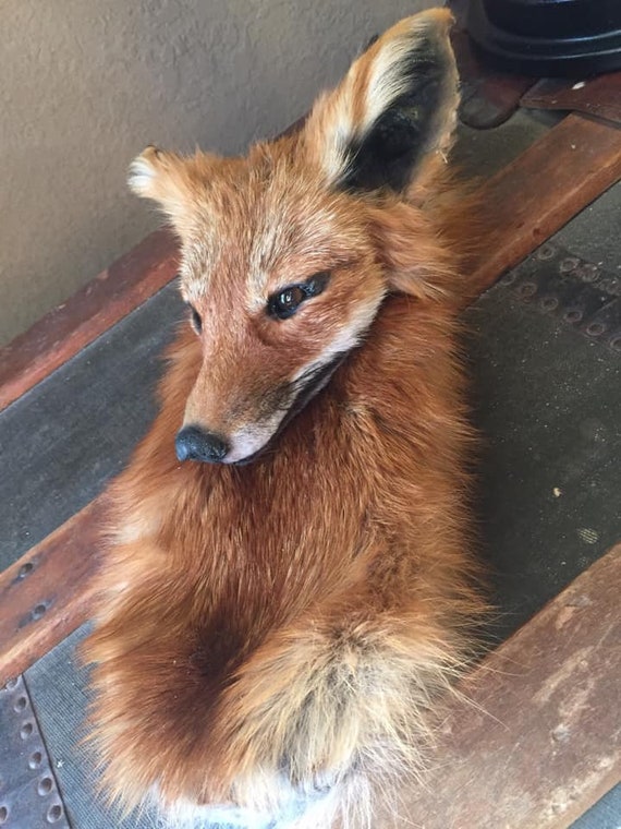animal sporran