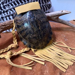 May include: A turtle shell adorned with a tan leather flap and fringe. The shell is dark brown with a textured pattern. A braided leather strap and a piece of driftwood are also visible.
