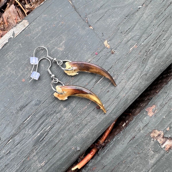 Native Made Badger Claw earrings