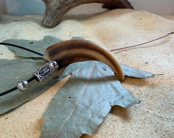 Norse Replica Grizzly Bear Claw Necklace - Etsy