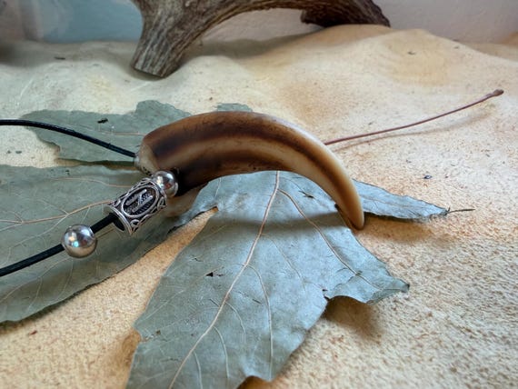 Norse Replica Grizzly Bear Claw Necklace - Etsy