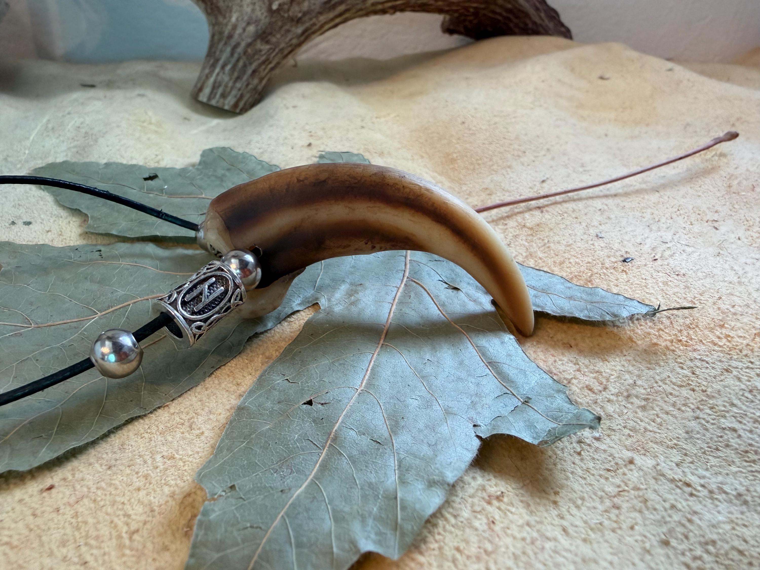 Norse Replica Grizzly Bear Claw Necklace - Etsy