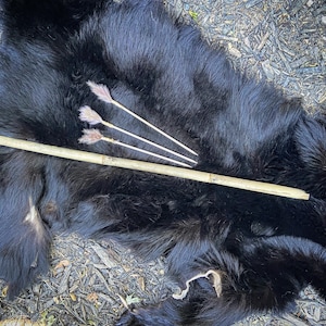 May include: A black bear fur rug with three small, white, feathered arrows and a long, wooden stick lying on top.