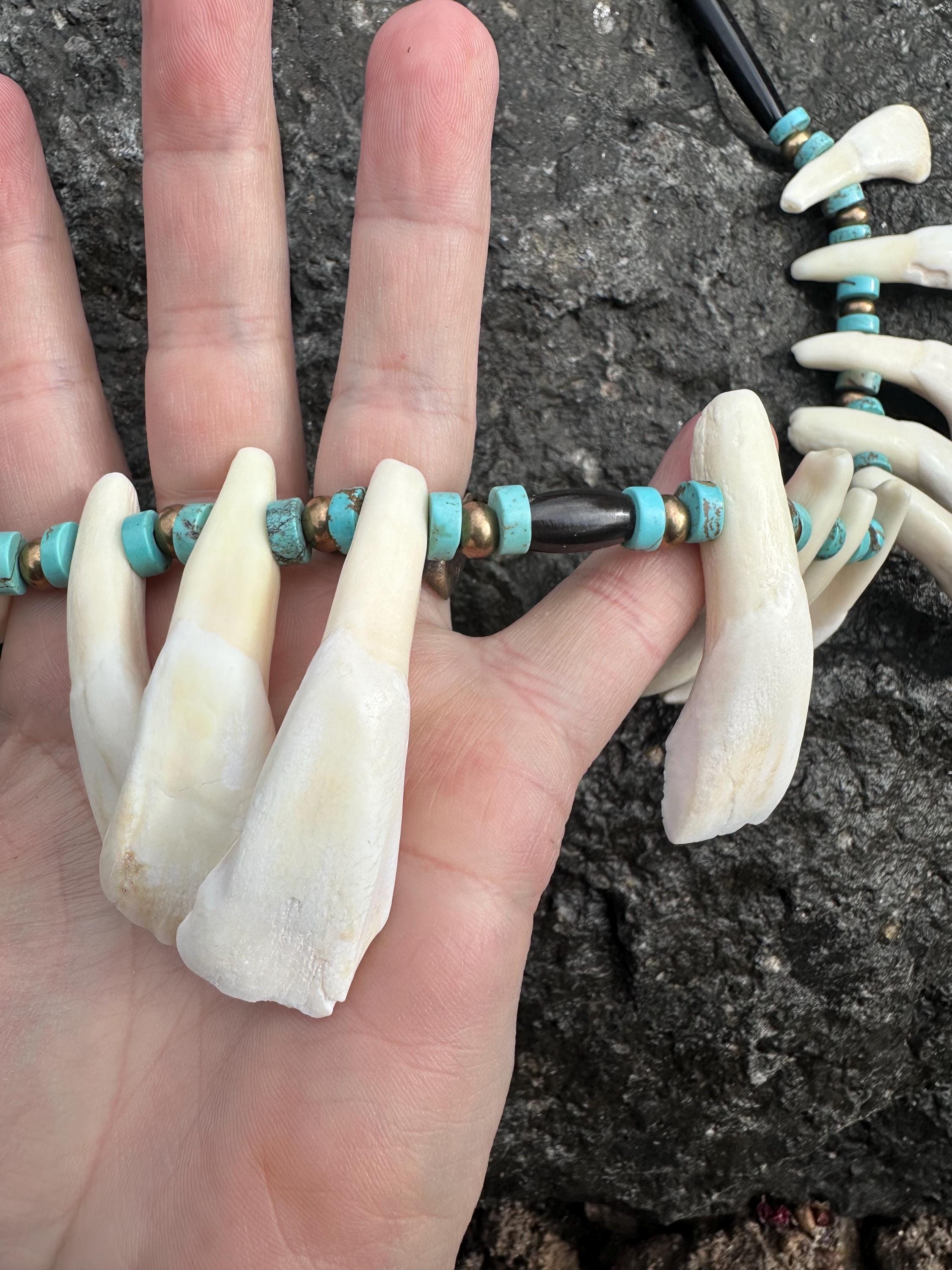 Buffalo Tooth Pendant | Bleueprint