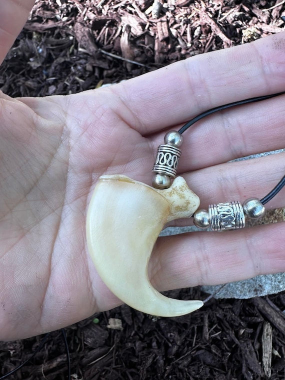Celtic Replica Mountain Lion Claw Necklace