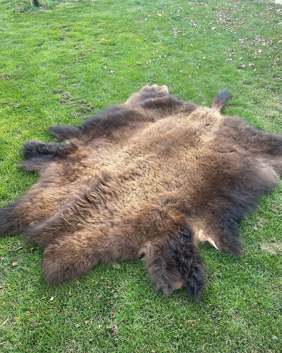 Painted Buffalo Robe Native American Made Traditional Earth Etsy