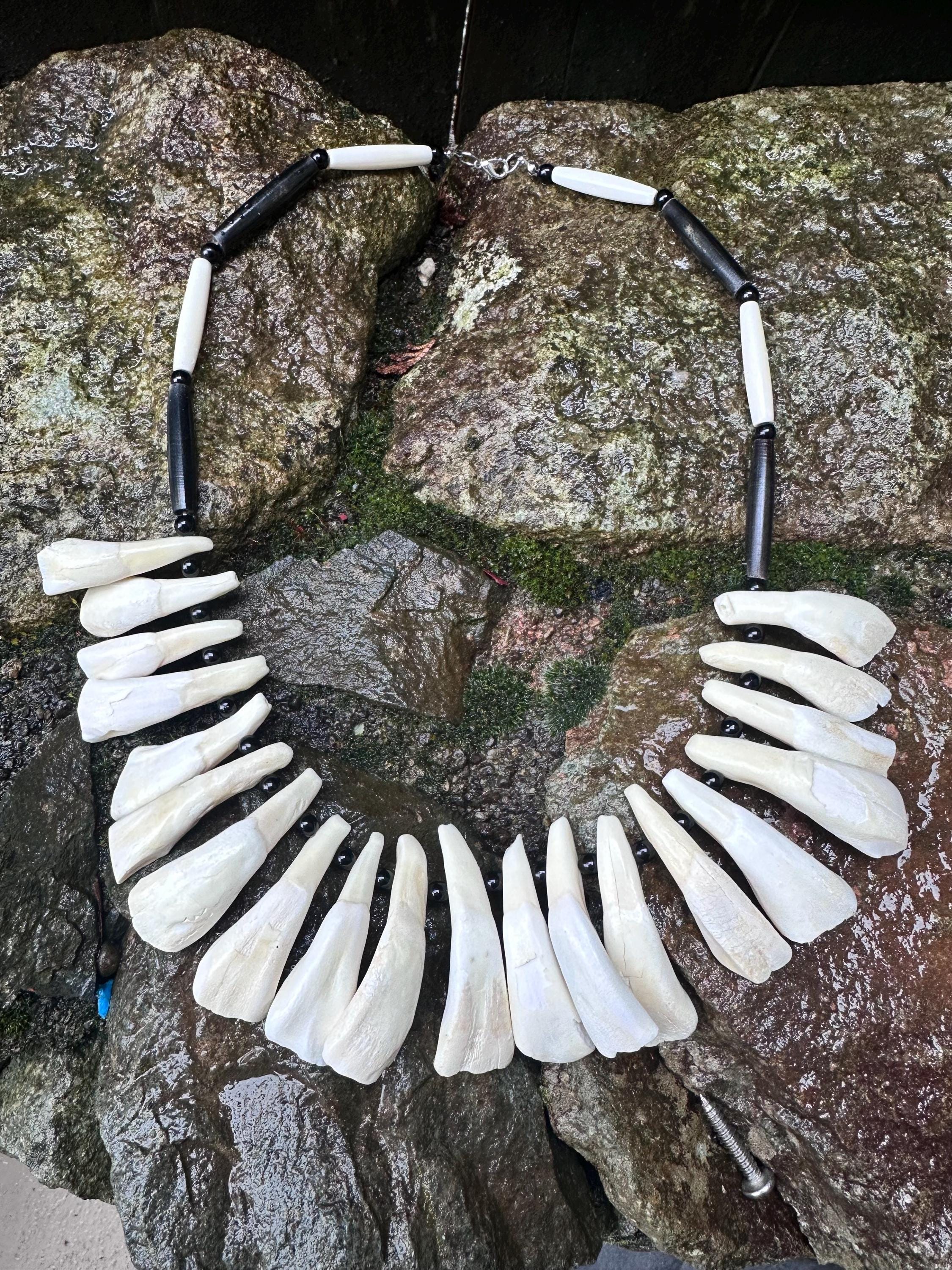 Native American Made Buffalo Tooth Necklace - Etsy