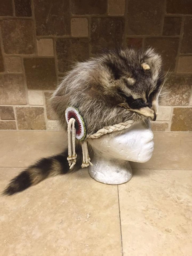 Native American beaded raccoon coonskin hat Authentic Native Etsy